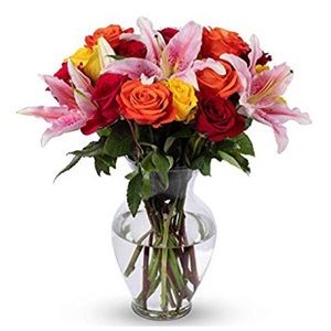 Meet your Posher, Hamida